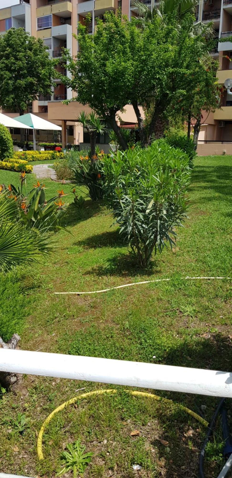 Green Oasis Rome Bagian luar foto